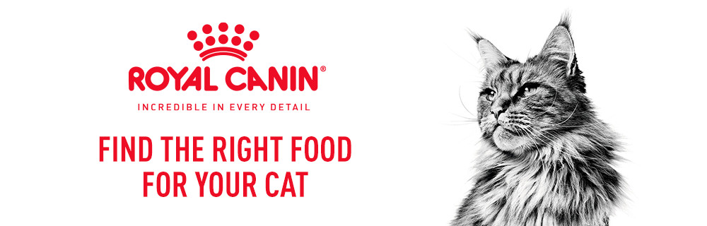 Royal Canin Cat