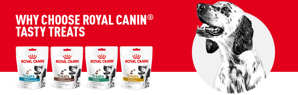 Royal Canin Vet Treats Range Overview