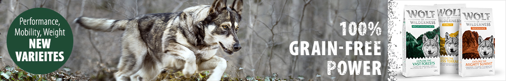 Discover Wolf of Wilderness