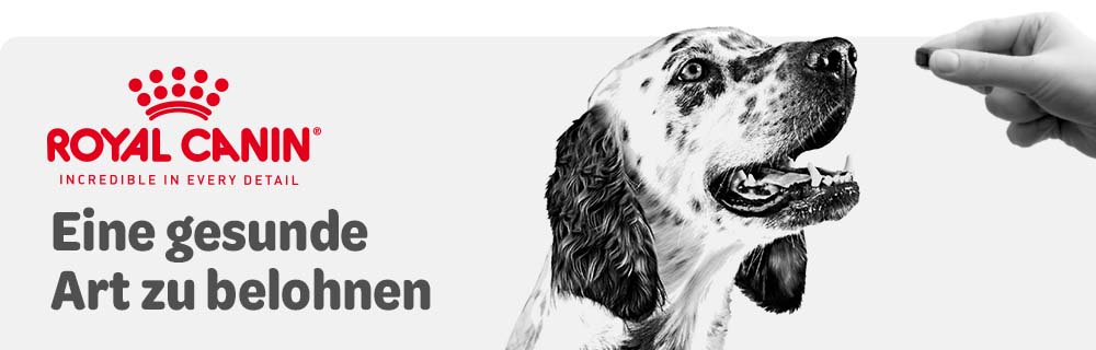 Royal Canin Snacks