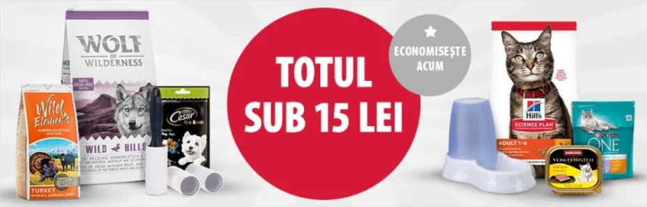 Descopera o selectie cu favoritele noastre! Toate sub 15 lei!