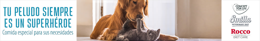 Tu peludo siempre es un superhéroe