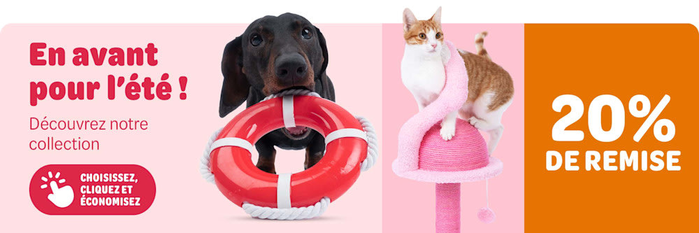 Promo été : -20 % sur accessoires chiens & chats