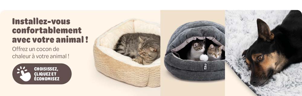 Promo d'automne: jusqu'à -20 % sur accessoires chiens & chats