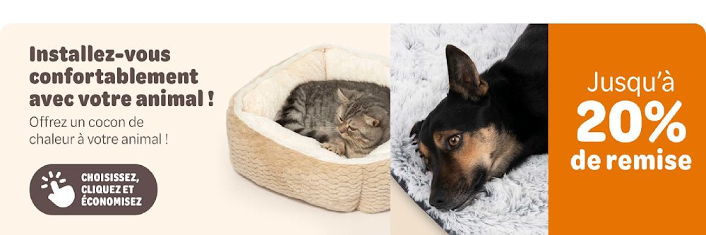 Promo été : -20 % sur accessoires chiens & chats