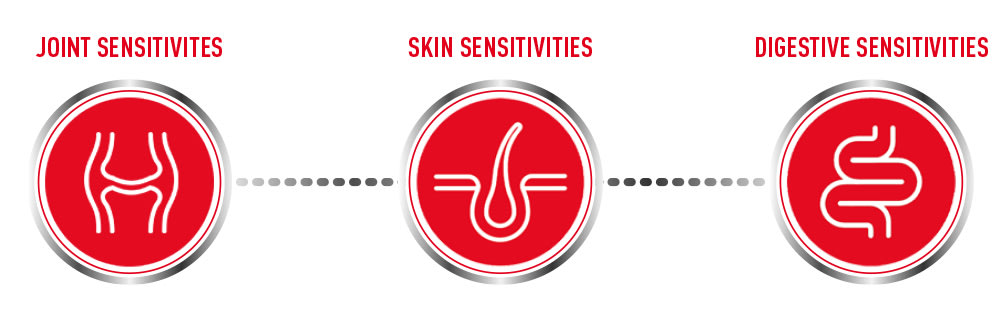 Why ROYAL CANIN® Supplements