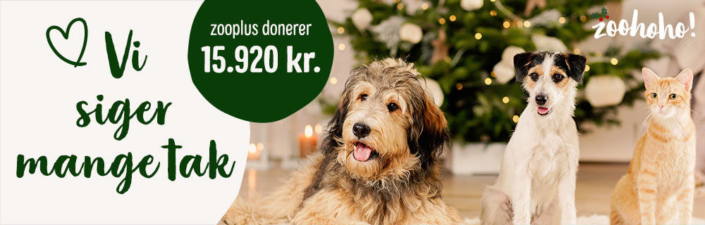 Juledonation
