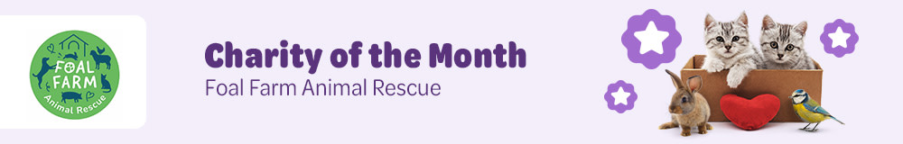 Charity of the month: Foal Farm Animal Rescue