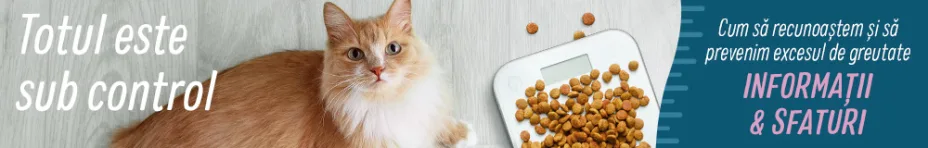 Hrană light și dietetică pentru pisici