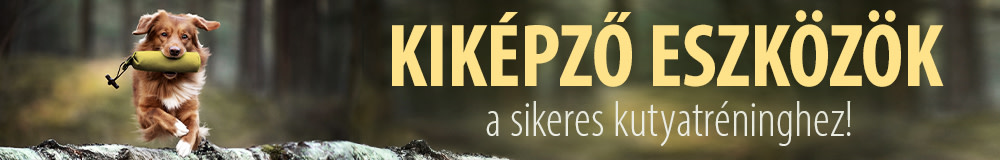Sport & kiképzés