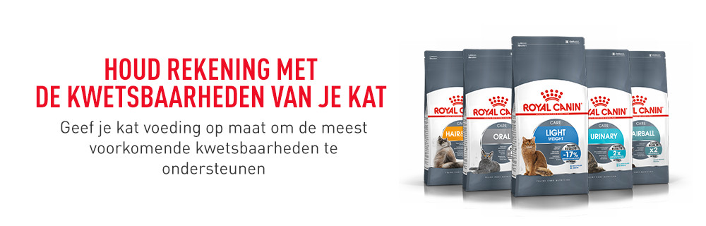 Care (kat)