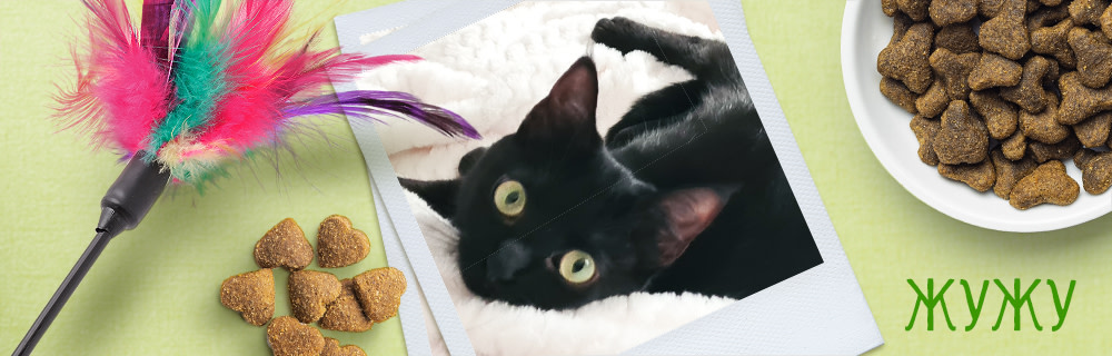 Жужу - най-красивият подарък