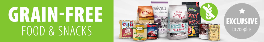 Discover Grain-free Brands