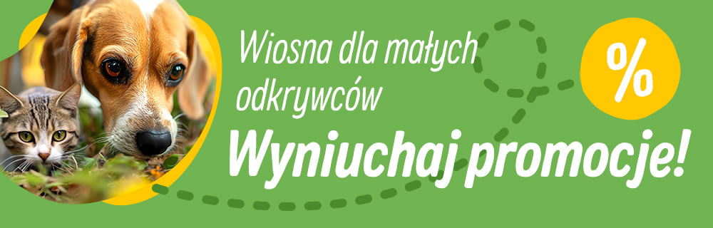 Wiosna
