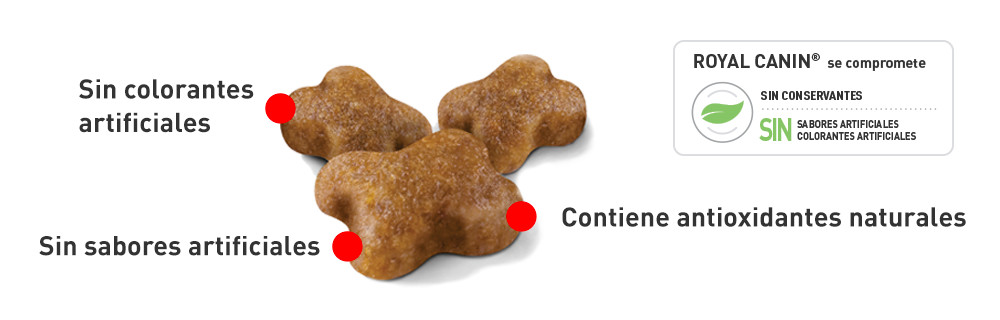 CROQUETA ADAPTADA A LA PEQUEÑA MANDÍBULA DEL GATITO