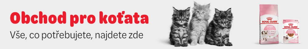 Obchod pro koťata