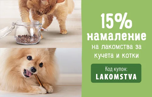 15% намаление на лакомства за кучета и котки!