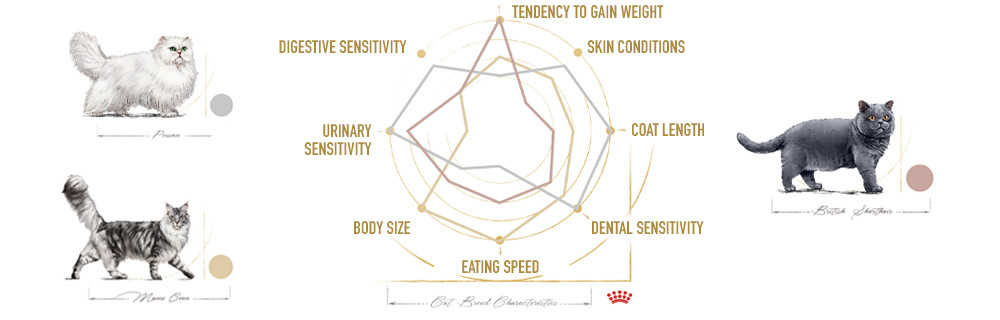 Each breed has specific health sensitivities