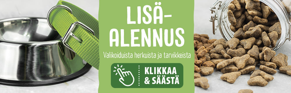 Lisäalennus