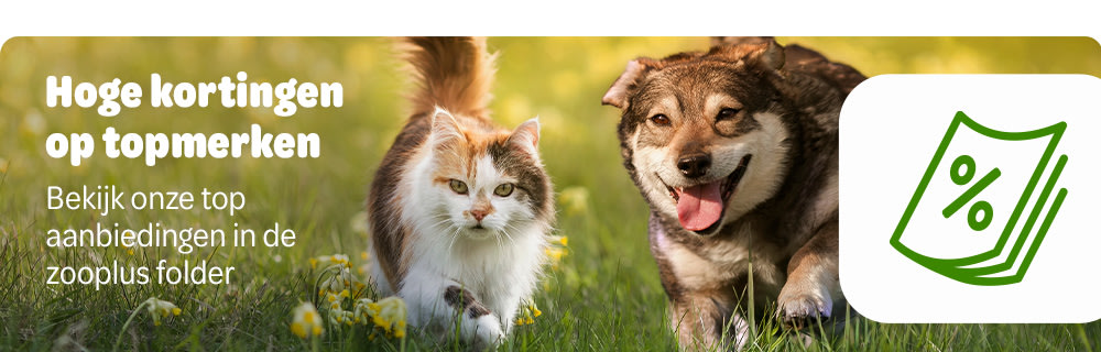 Main banner zooplus folder