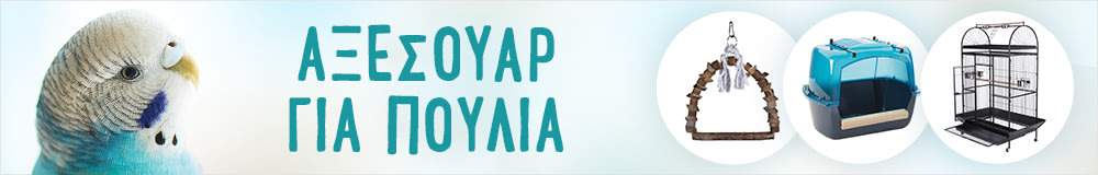 Αξεσουάρ για Πουλιά