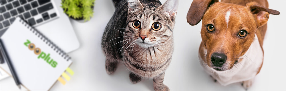 Świat usług zooplus - wszystko dla Twojego pupila
