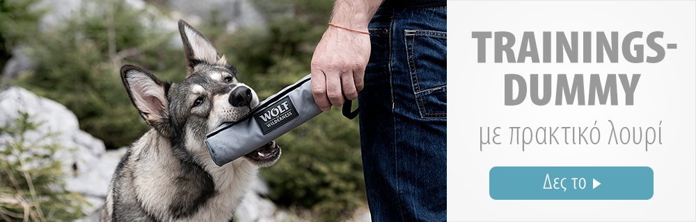 Wolf of Wilderness Trainings-Dummy με Λουρί