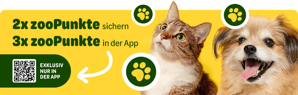 Jetzt doppelt oder dreifach punkten!