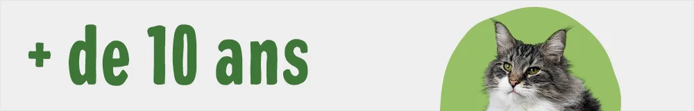 + de 10 ans