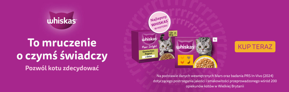To mruczenie o czymś świadczy. Pozwól kotu zdecydować