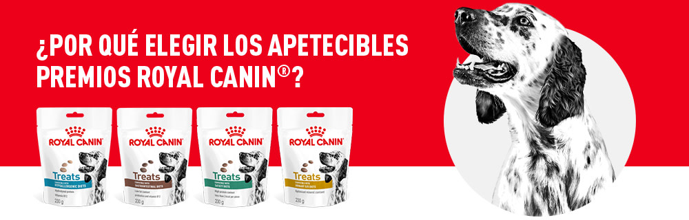 Royal Canin Vet Treats Range Overview