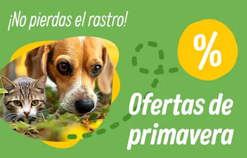 Llegan las ofertas de primavera