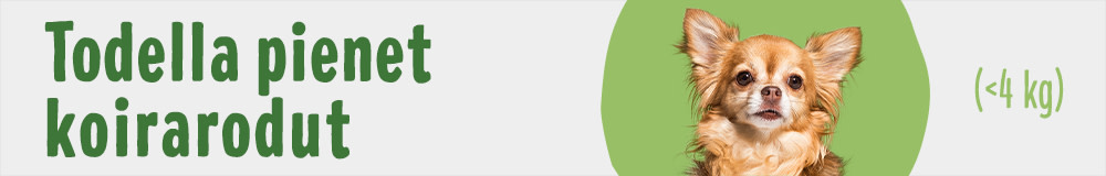 Todella pienet rodut