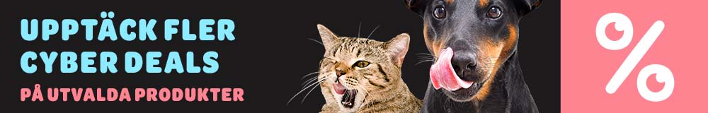 LCB