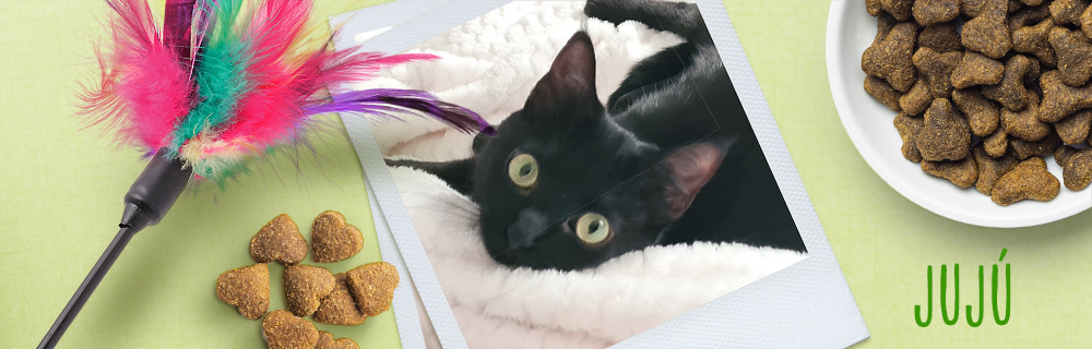 Jujú, notre plus beau cadeau