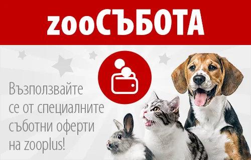 zooСЪБОТА