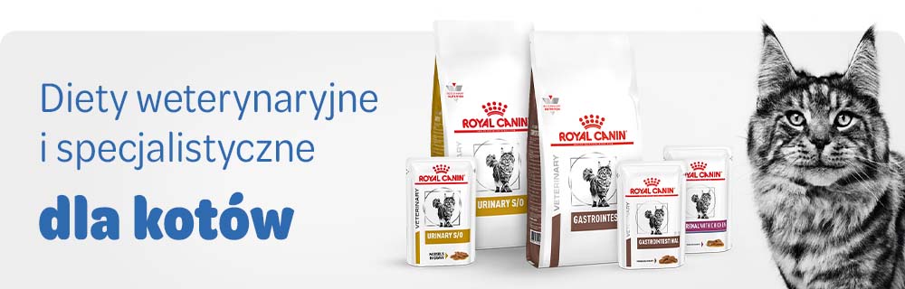 Diety weterynaryjne dla kotów