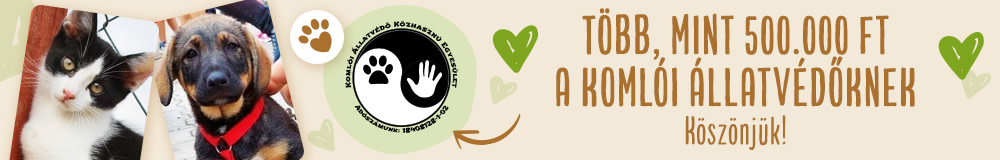 Több, mint 500 000 Ft a Komlói Állatvédőknek