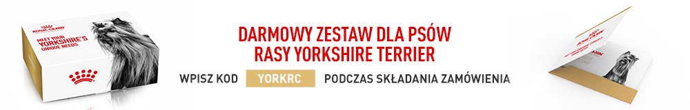 Darmowy zestaw dla psów rasy yorkshire terrier