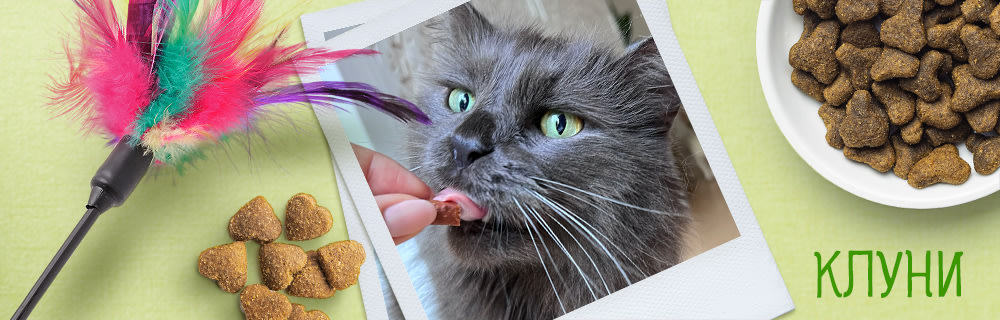 Котката Клуни в zooplus