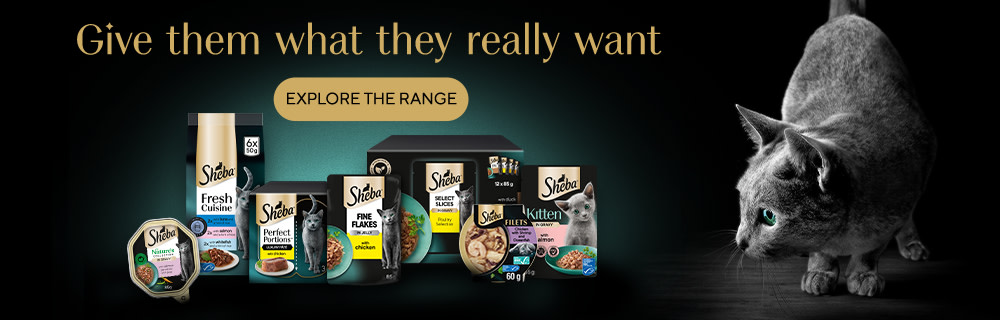 Explore the Sheba range