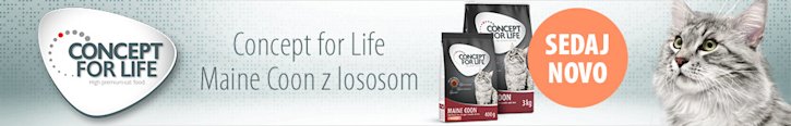 Concept for Life Maine Coon z novim okusom: losos! Concept for Life Maine Coon z novim okusom: losos!