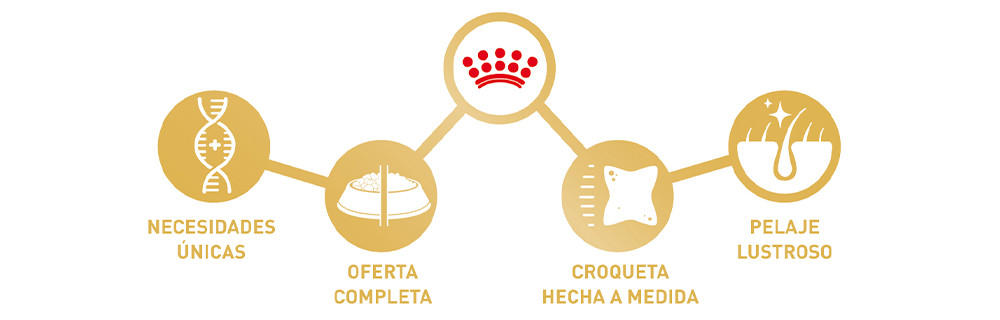 RAZA ÚNICA. NECESIDADES ÚNICAS.