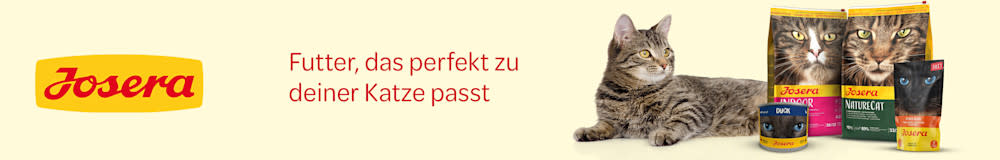 Josera: Futter, das perfekt zu deiner Katze passt