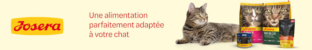 Josera: Une alimentation parfaitement adaptée à votre chat