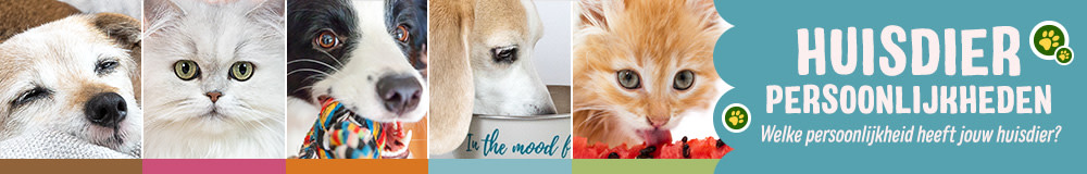 Dierlijke persoonlijkheden