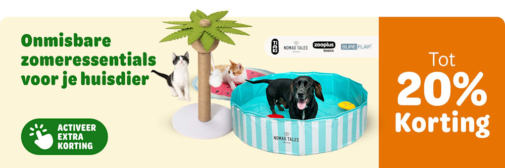 NL Summer Accesories