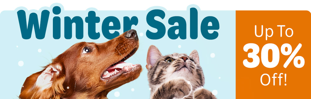 Winter Sale