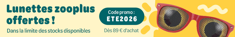 Lunettes zooplus offertes ! Dans la limite des stocks disponibles Code promo : ETE2026 Dès 89 € d'achat