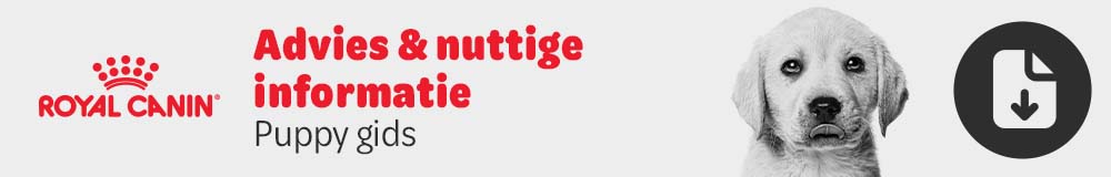 Puppy gids - Advies & nuttige informatie